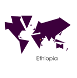 Bulessa: Ethiopia :: Ethical Coffee BEANS